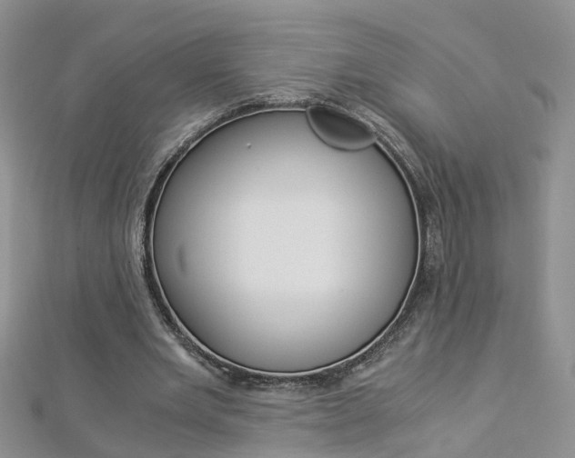 X0000112880485200908211055