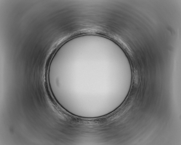 X0000112880486200908211055