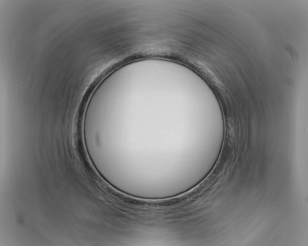 X0000112880487200908211055