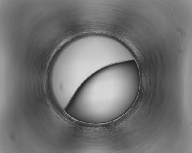 X0000112880488200908211055