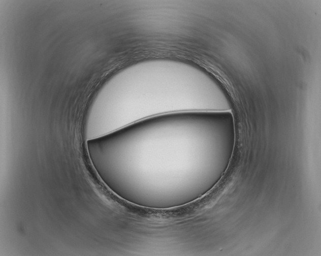 X0000112880489200908211055