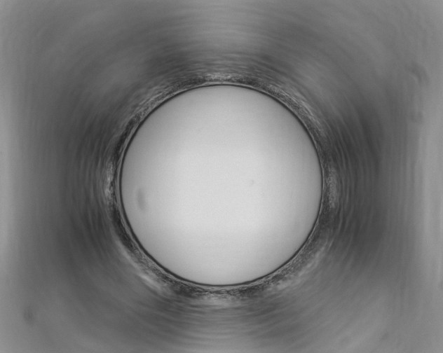 X0000112880490200908211055