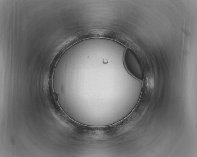 X0000112880492200908211055