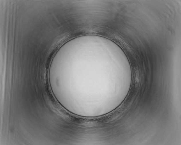 X0000112880494200908211054