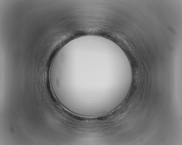 X0000112880495200908211054