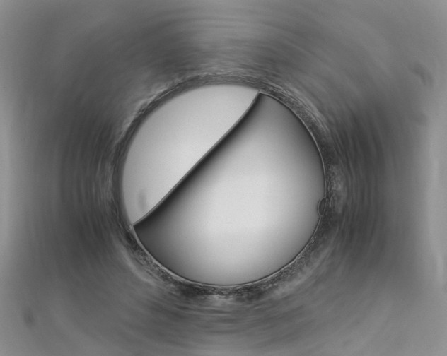 X0000112880496200908211054