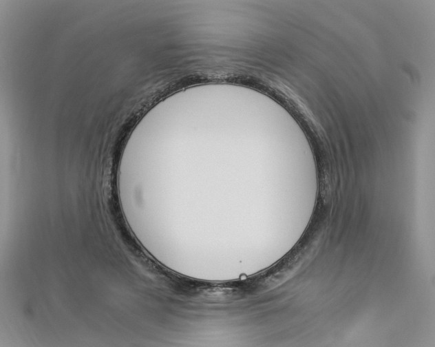 X0000112880497200908211054