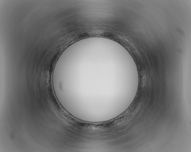 X0000112880498200908211054