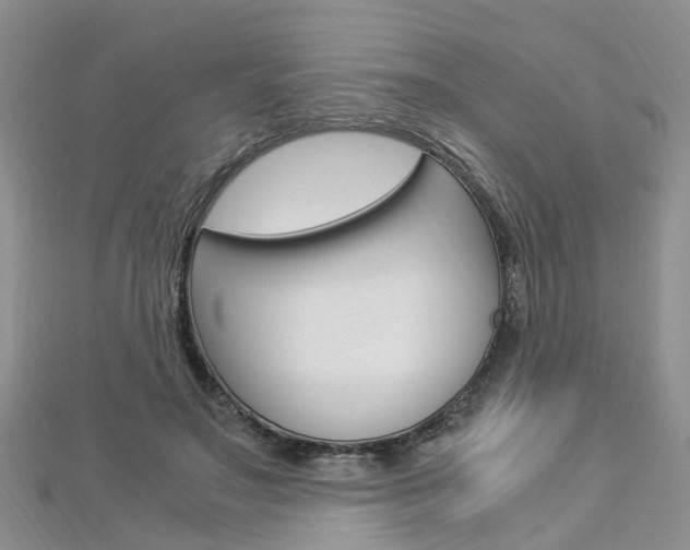 X0000112880499200908211054