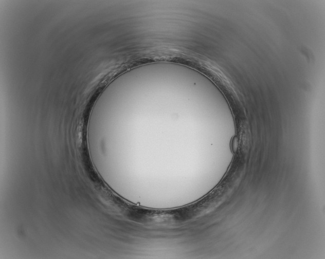 X0000112880501200908211054