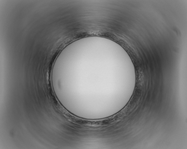 X0000112880502200908211054