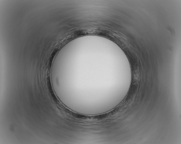 X0000112880503200908211054