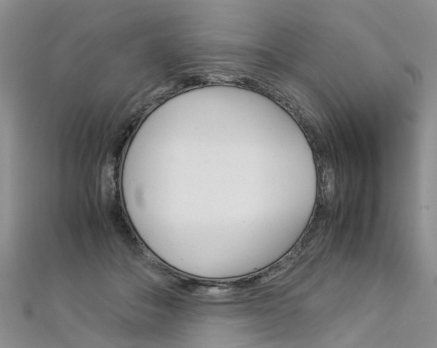 X0000112880506200908211054