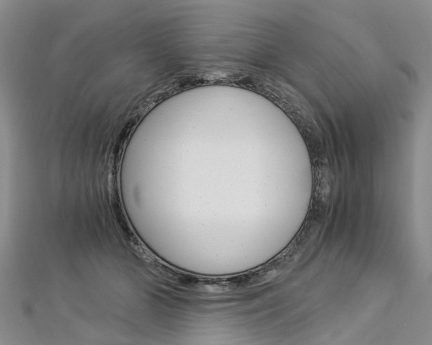 X0000112880510200908211054