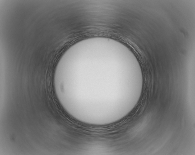 X0000112880513200908211054