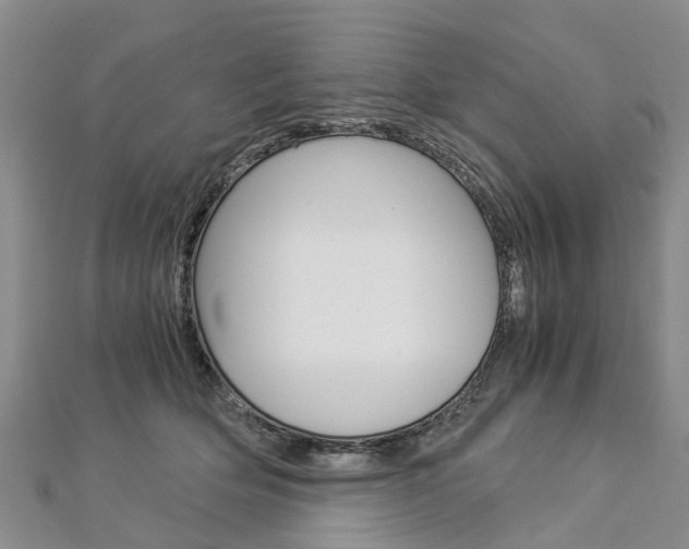 X0000112880514200908211054