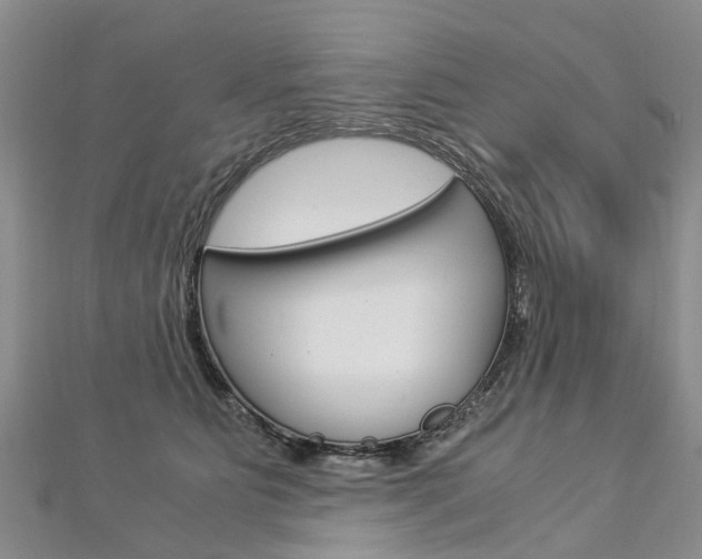 X0000112880515200908211054