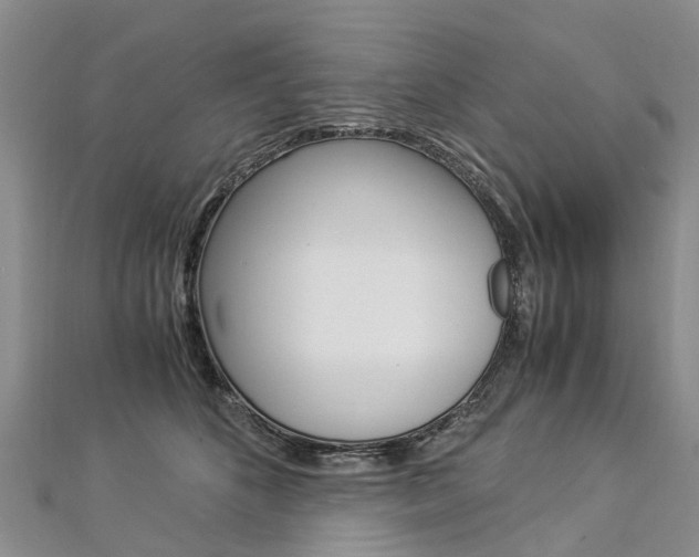 X0000112880516200908211054