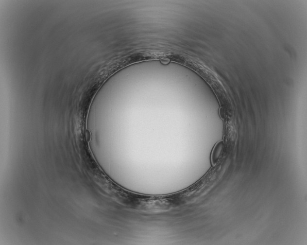 X0000112880517200908211054