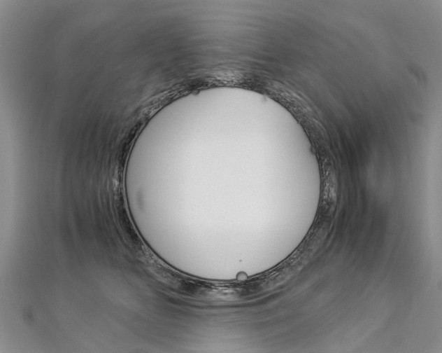 X0000112880518200908211054