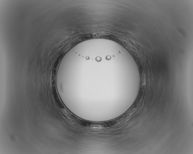 X0000112880519200908211054