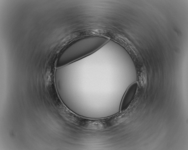 X0000112880520200908211054