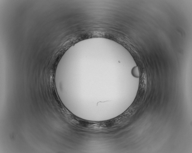 X0000112880522200908211054