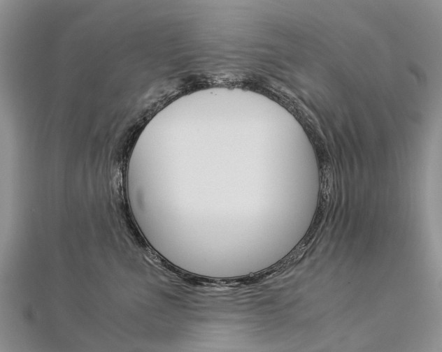 X0000112880523200908211054