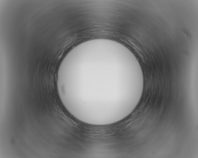 X0000112880524200908211054