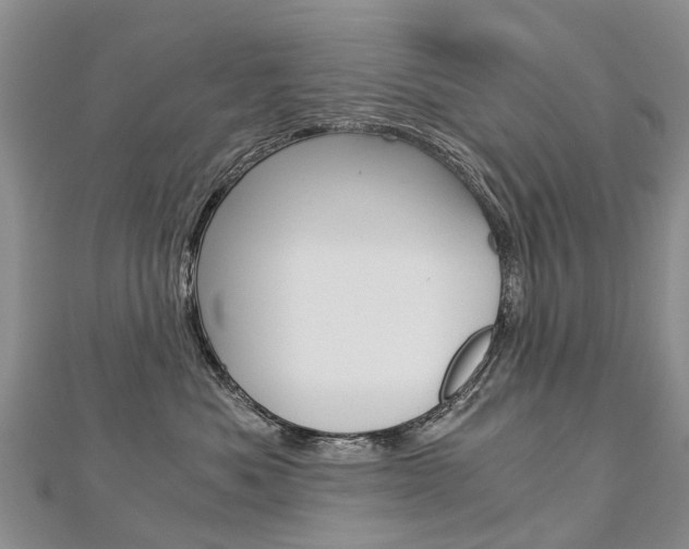 X0000112880525200908211054