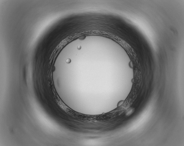 X0000112880526200908211054