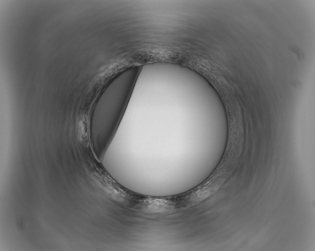 X0000112880528200908211054