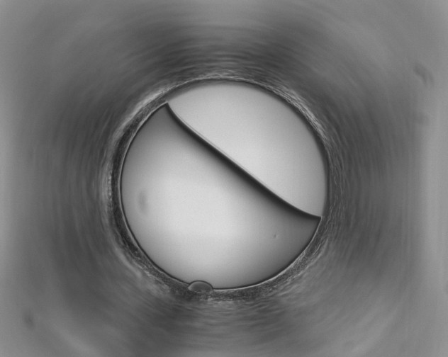 X0000112880531200908211053