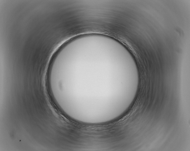 X0000112880532200908211053