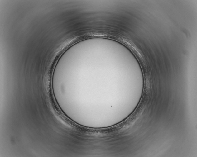 X0000112880533200908211053