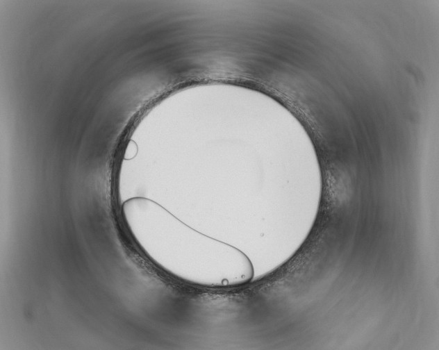 X0000112880534200908211053