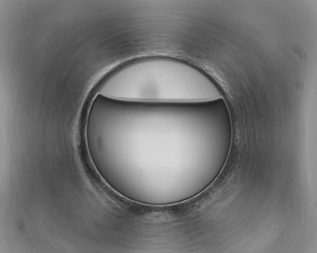 X0000112880536200908211053