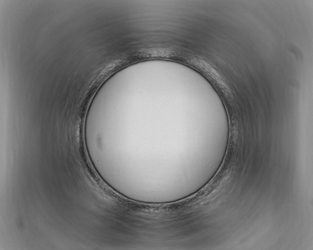 X0000112880537200908211053