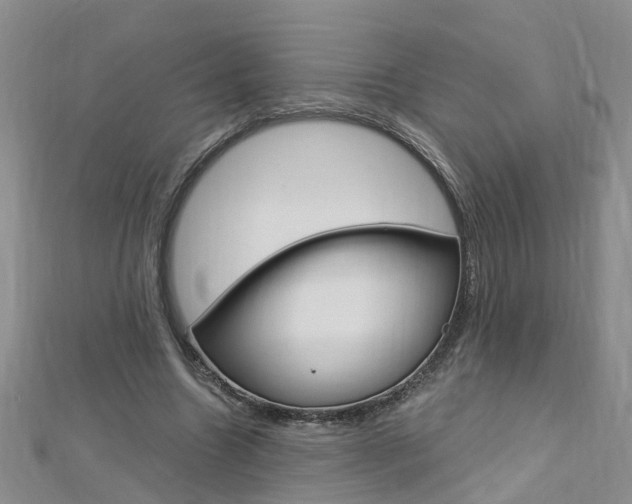 X0000112880538200908211053