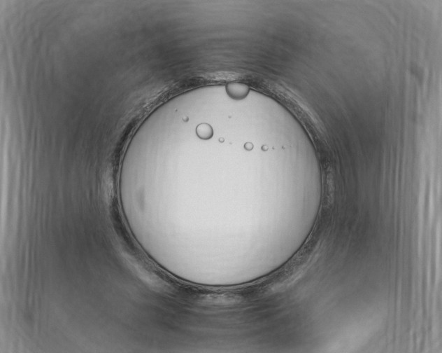 X0000112880541200908211053