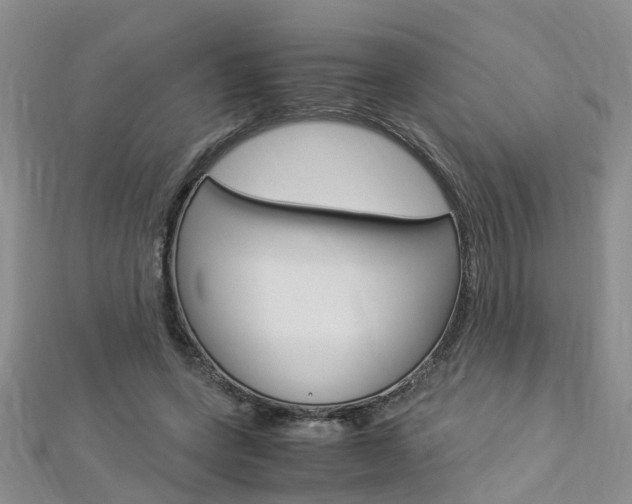 X0000112880543200908211053