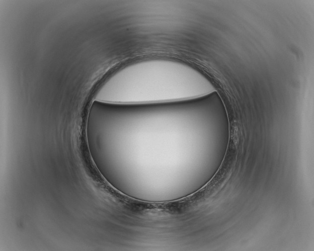 X0000112880544200908211053