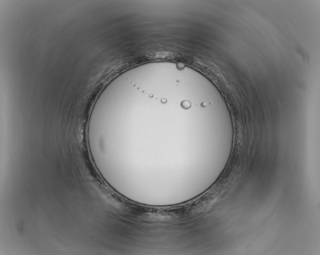 X0000112880545200908211053