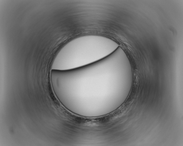 X0000112880550200908211054