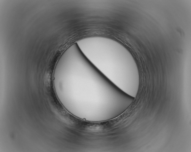 X0000112880551200908211054