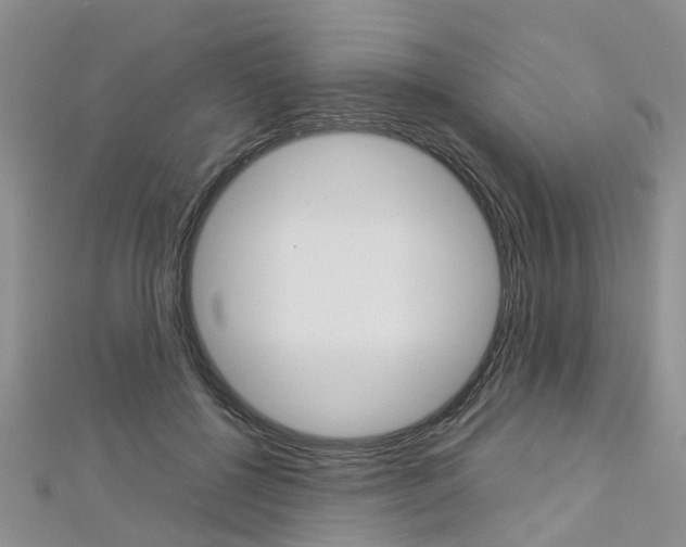 X0000112880552200908211054