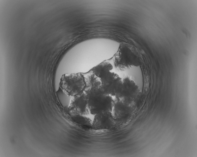 X0000112880553200908211054