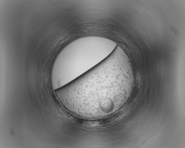 X0000112880554200908211054