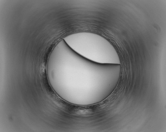 X0000112880555200908211054