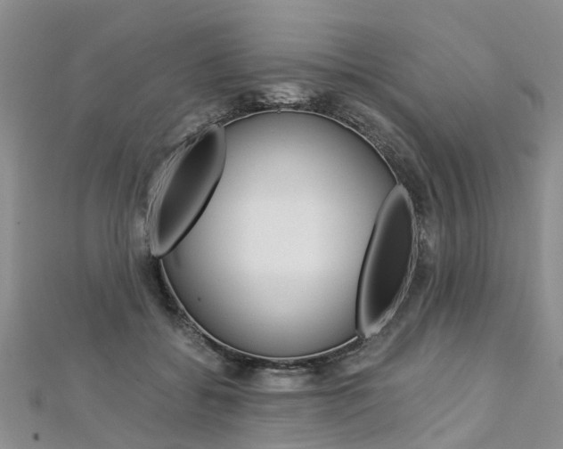 X0000112880556200908211054